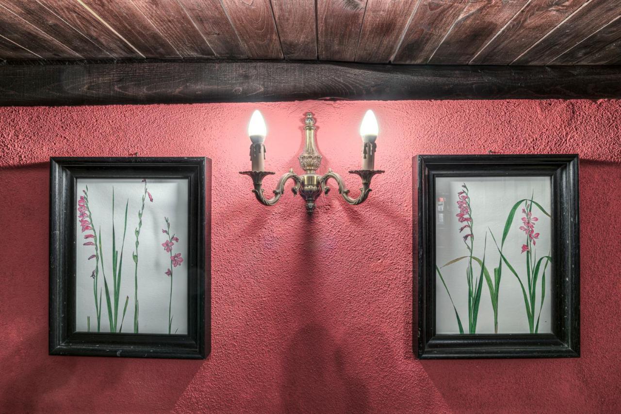 B&B Il Grottino Di 아세르기 외부 사진