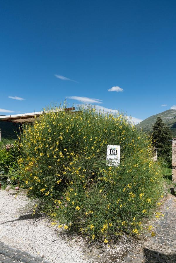 B&B Il Grottino Di 아세르기 외부 사진